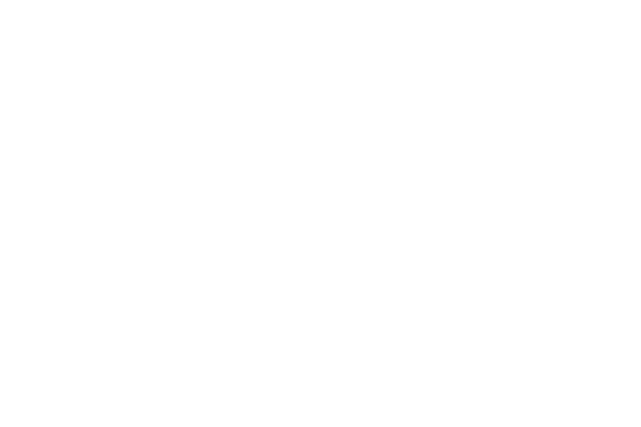 Pepteora